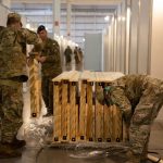 Empresas misioneras fabricaron unas 8.000 camas de madera