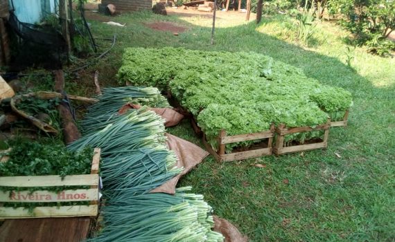 “Las verduras nunca alcanzan en las ferias francas”