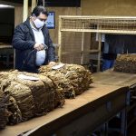 Calculan pérdida de mil millones de pesos del FET