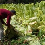 FET: Misiones ya perdió más de .000 millones