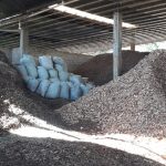 Por primera vez se fijará el precio de la materia prima forestal en Misiones