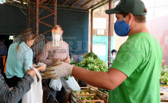 La sequía afectó a las chacras misioneras y advierten mermas en la producción