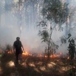 Recolectan refrigerios para asistir a quienes combaten los incendios