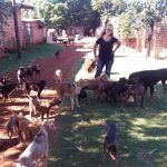 “Aumentó mucho el abandono de animales, es muy triste lo que está pasando”