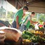 Ferias no garantizan una buena provisión de choclo