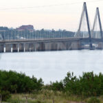 Bresiski: “Tenemos que seguir gestionando la disminución del 50% en el IVA”