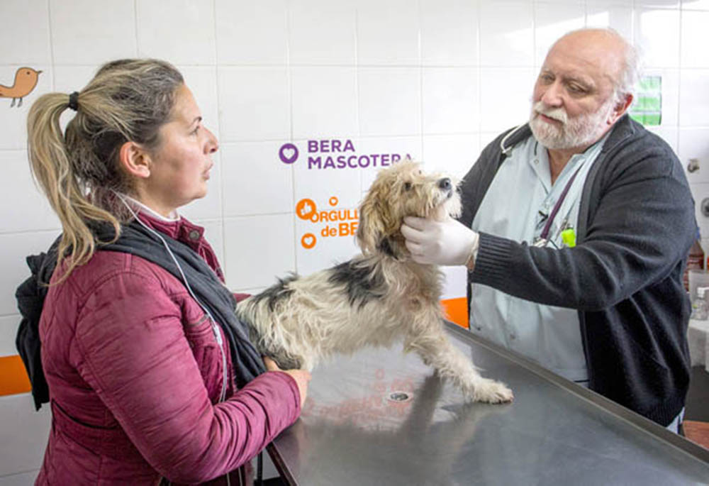 "Es vital que la gente vacune anualmente a su perro o gato contra la rabia"