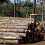 La Tasa de Servicios Forestales “nos aleja más de la competitividad con Corrientes”