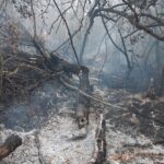 Fortín Mbororé: “Tuvimos tres incendios en poquito tiempo, es bastante preocupante”