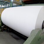 Papeleros de Misiones: la declaración de insalubridad está en la Corte