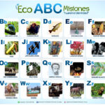 El EcoABC Misiones “Nuestra identidad” renovado y completo