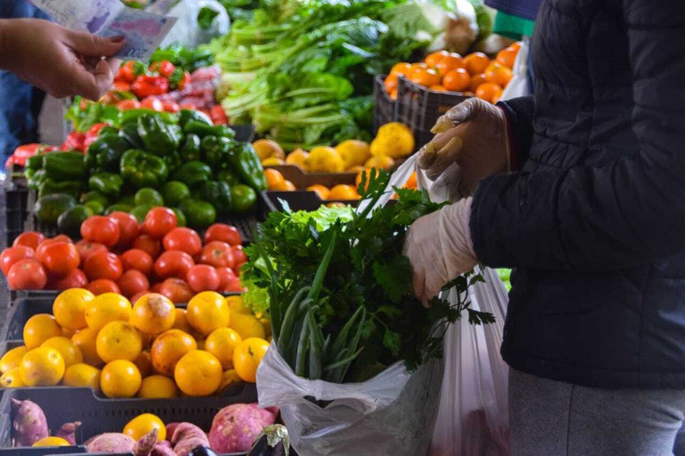 Bajas temperaturas: feriantes se preparan para cuidar los cultivos