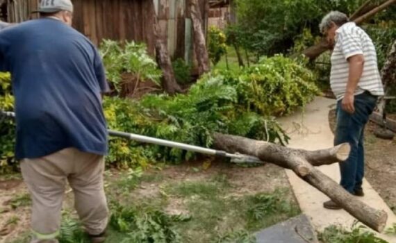 Posadas: sigue el operativo de recolección de ramas caídas tras el temporal