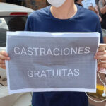 Protectoras se movilizaron en Iguazú