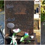 Denuncian vandalismo y robos de placas del cementerio de Puerto Rico