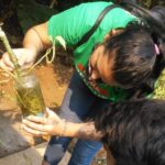 “Las piletas son excelentes criaderos de mosquitos”: prevención y recomendaciones