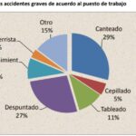 Advierten que muchos aserraderos no cumplen las condiciones de seguridad