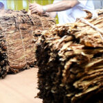 Nuevo marco legal para combatir el contrabando de tabaco en Misiones