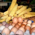 “Pueden faltar choclos, quesos y huevos para la Semana Santa”