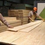 “Toda medida que beneficie a la forestoindustria debe reflejarse en los salarios de los trabajadores”