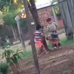 Maltrato animal: denunciarán a familia de los niños que golpearon a un perro