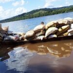 El Soberbio: los jóvenes se van a trabajar al Brasil o apuestan al “dinero fácil” del contrabando