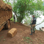 “Entre 10 y 12 millones de kilos de tabaco se fueron de contrabando al Brasil”