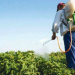 “El glifosato es indispensable para controlar malezas”