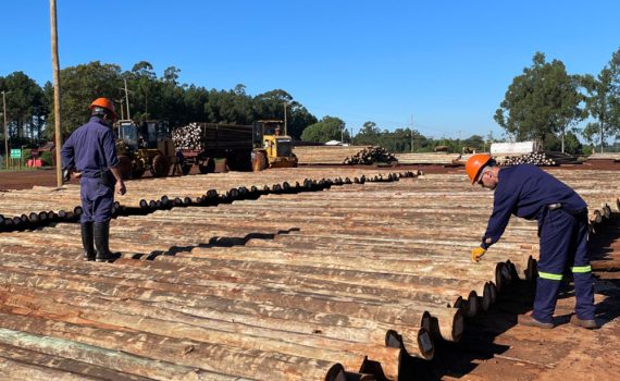 Madereros cerraron paritarias trimestrales, pero advierten que el salario sigue 20% abajo