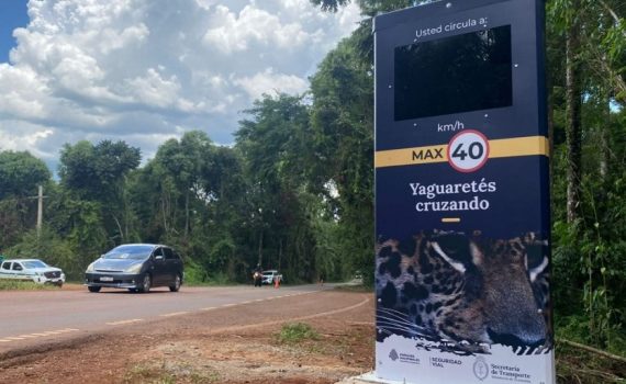Código QR para denunciar a infractores de tránsito en el Parque Nacional Iguazú
